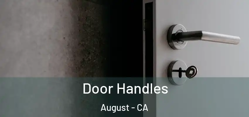  Door Handles August - CA