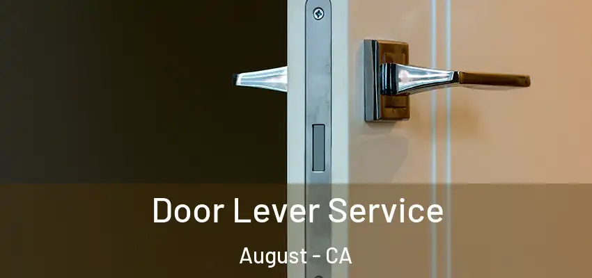  Door Lever Service August - CA