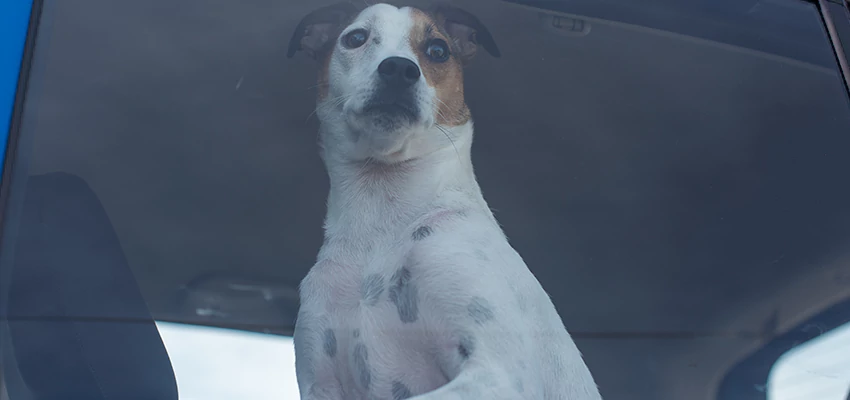 Car Lockout Solutions in August, California